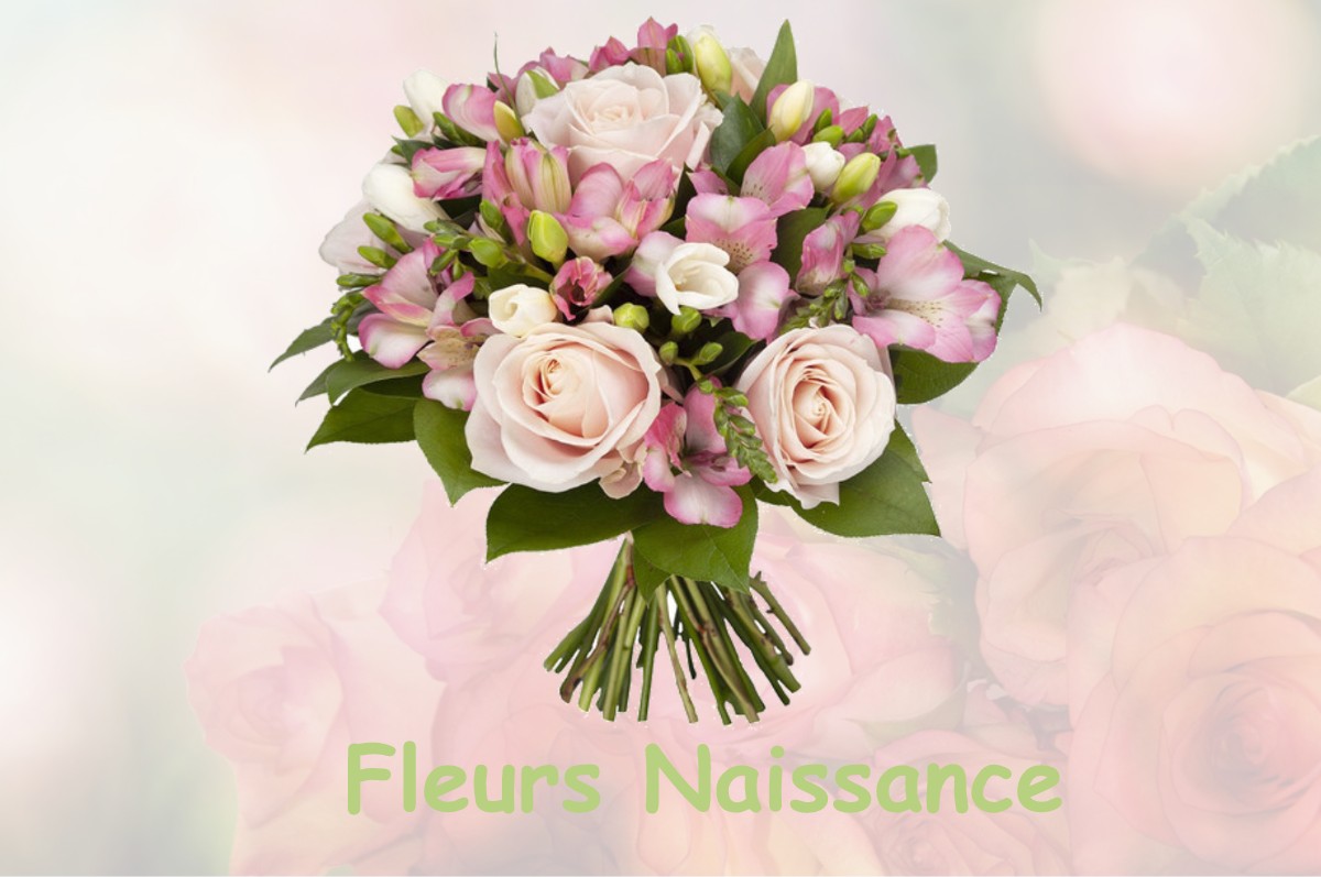 fleurs naissance AIGREFEUILLE