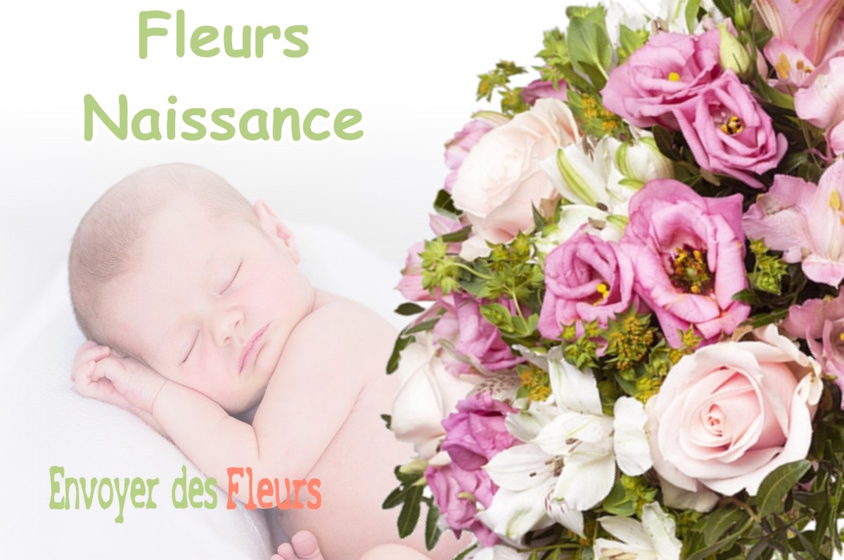 lIVRAISON FLEURS NAISSANCE à AIGREFEUILLE